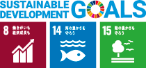 Sustainable Development Goals